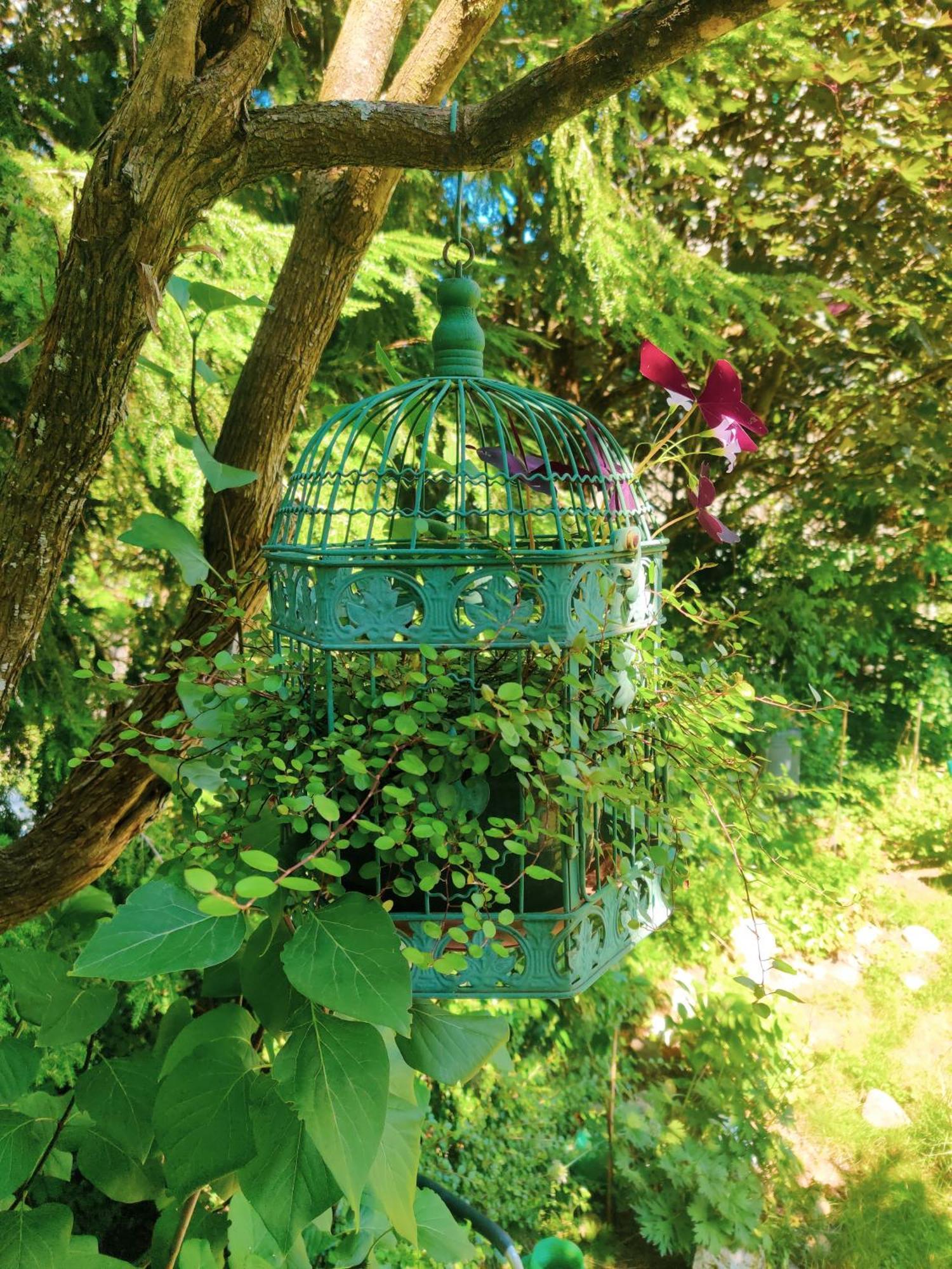 Bed And Breakfast Wildrose Bern Buitenkant foto